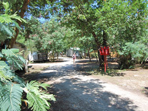 allee