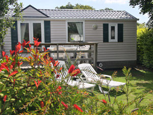 cottage2ch5p_3fleurs