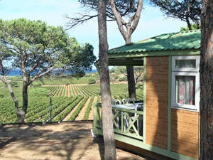 chalet-club